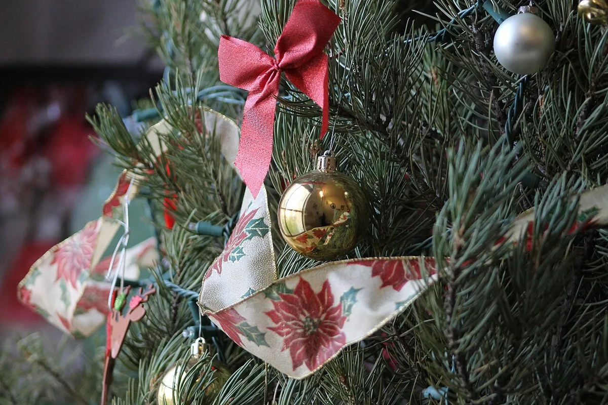 Goldene Weihnachtskugel mit roter Schleife an einem grünen Tannenzweig